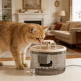 thumbnail image 1 of Filtered Automatic Pet Water Fountain Quiet Power Saving USB Cat Dog Water Dispenser Capacity Indoor Pet Drinking Feeder, 1 of 6