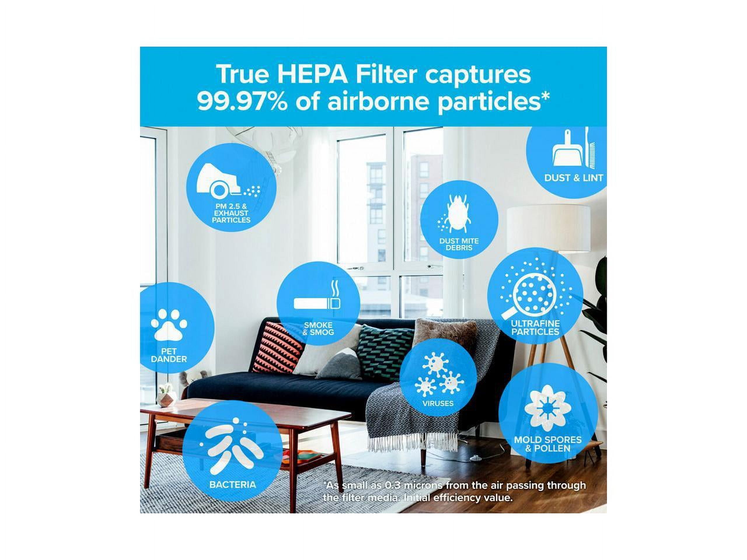 Filtrete True HEPA Air Purifier Replacement Filter, F1 Size