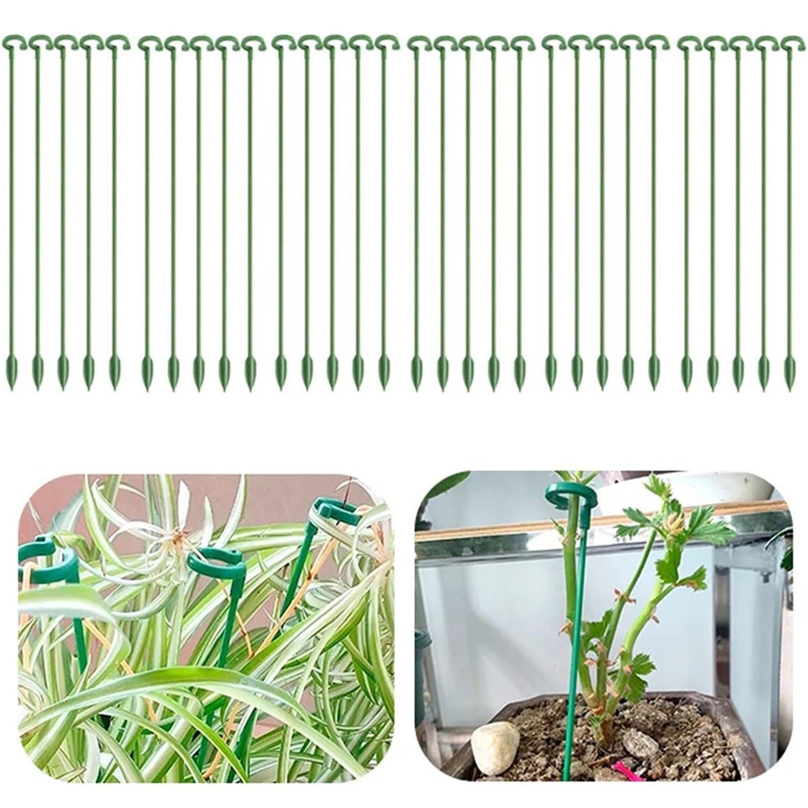 Fimeskey 30 Pack Plant Support Stakes Upgrade Plant Support Garden