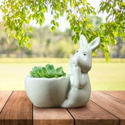 Fimeskey Flower Pots Easter Rabbit Mini Ceramic Succulent Plant Pots Thumb Flower Pots For Small Plants And Decorative Objects Home & Garden