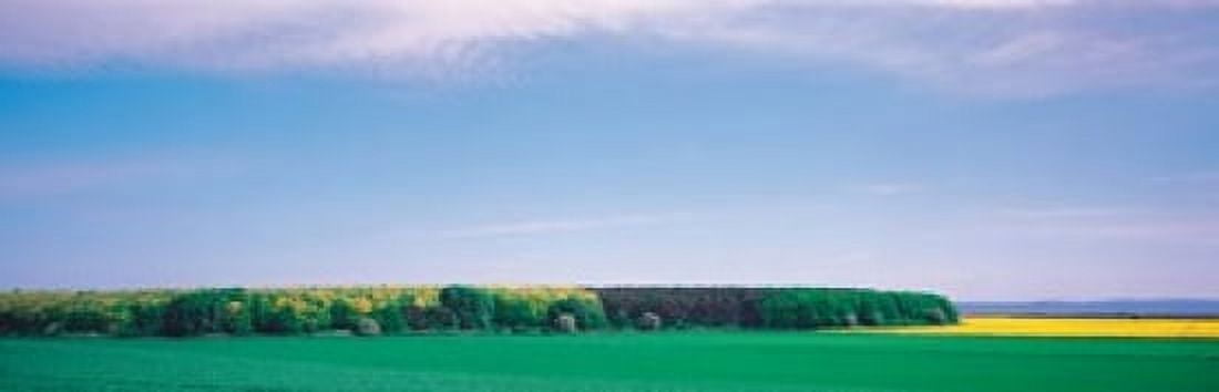 Fin Island Denmark Canvas Art - Panoramic Images (18 x 6)