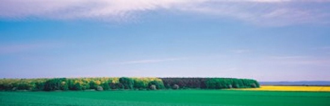 Fin Island Denmark Canvas Art - Panoramic Images (36 x 12)