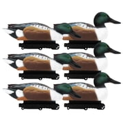 Final Approach Live Floating Northern Shovelers, Decoy 6 Pack