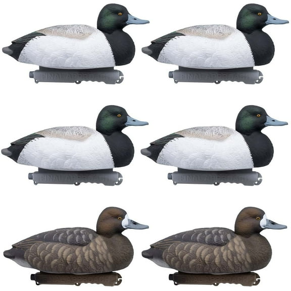 Final Approach LIVE Foam Filled Bluebills, Decoy 6 Pack