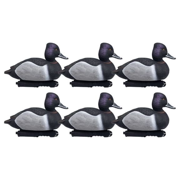 Final Approach LIVE Foam Filled Ringnecks, Decoy 6 Pack