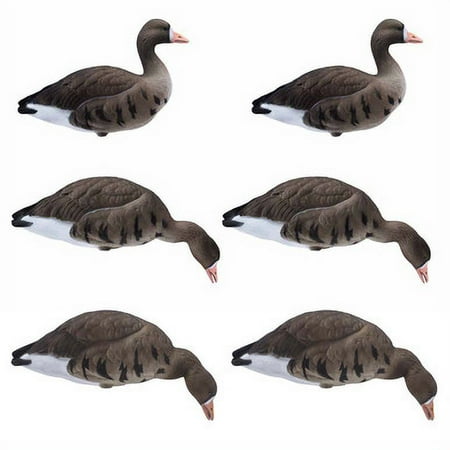 Final Approach LIVE Fully Flocked Full Body Specklebelly Geese