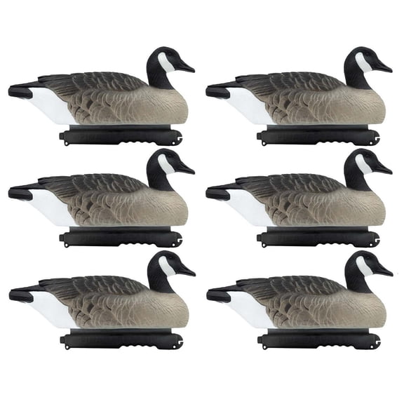 Final Approach Last Pass Canada Goose Floater Decoys, 6 Pack