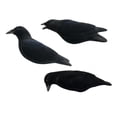 thumbnail image 1 of Final Approach Last Pass Fully Flocked Crow Decoys, Pack of 3, 1 of 5