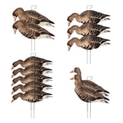 Final Approach Last Pass Specklebelly Silhouette Decoys, 12 Pack