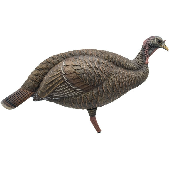 Final Approach Live Breeder Hen Turkey Decoy
