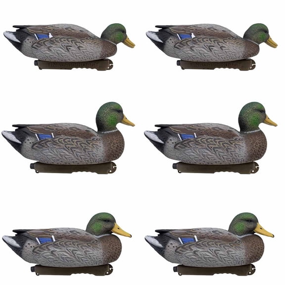Final Approach Live Early Season Mallard Duck Decoys, 6 Pack