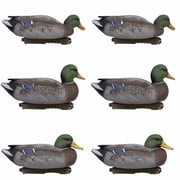 Final Approach Live Early Season Mallard Duck Decoys, 6 Pack
