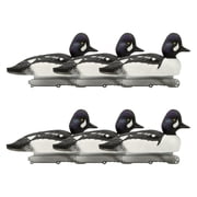 Final Approach Live Foam Filled Barrows Goldeneye Duck Decoys, 6 Pack