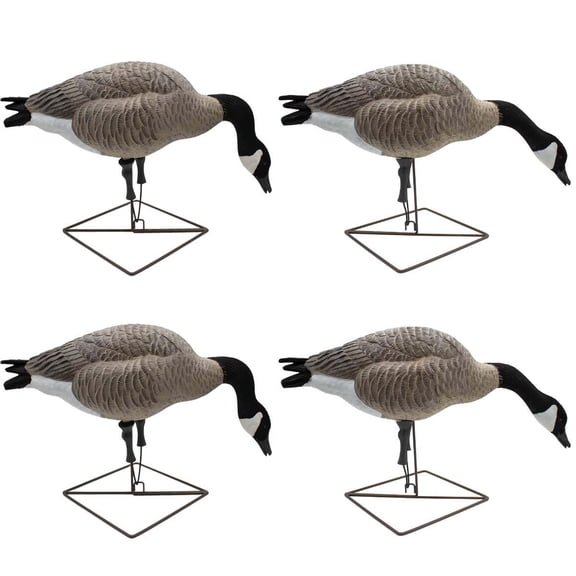 Final Approach Live Full Body Feeder Honkers, Decoy 4 Pack