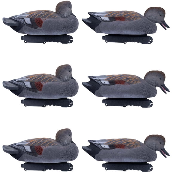 Final Approach Live Fully Flocked Gadwalls, Decoy 6 Pack