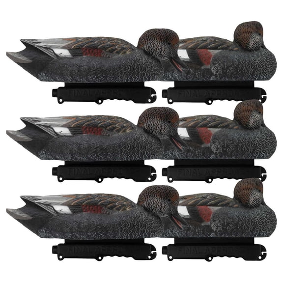 Final Approach Live Gadwall Floater Duck Decoys, 6 Pack