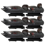 Final Approach Live Gadwall Floater Duck Decoys, 6 Pack