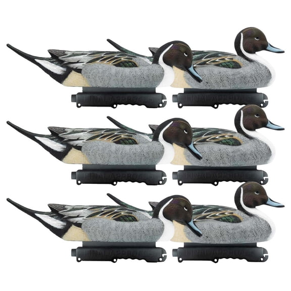Final Approach Live Pintail Floater Duck Decoys, 6 Pack