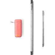FinalStraw Coral Case, Silver Straw