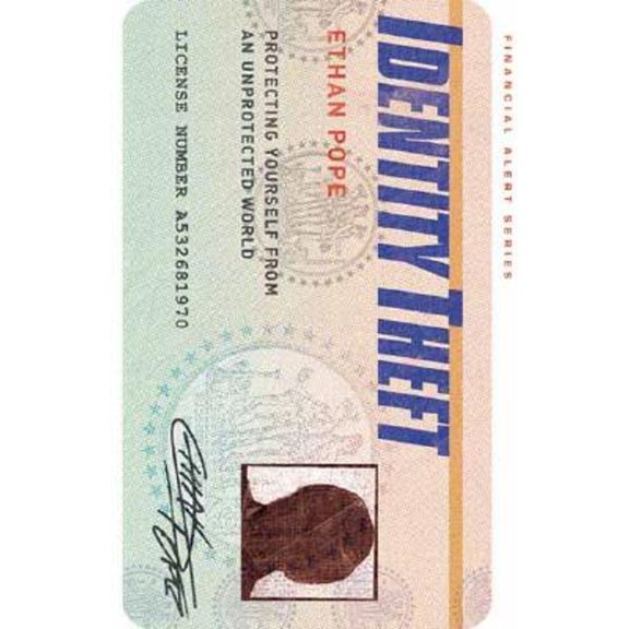 Financial Alert Series: Identity Theft : Protecting Yourself From an Unprotected World (Paperback)