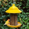 thumbnail image 1 of Finch Feeder - Metal Squirrel Proof Thistle Nyjer Seed Bird Feeder for Outdoors, 2.5LB Capacity, Powder-Coated Rust Resistant Mesh Design for Goldfinches & Small Birds (Yellow), 1 of 9