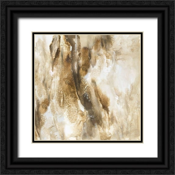 Finch, Scherrer 20x20 Black Ornate Wood Framed with Double Matting Museum Art Print Titled - Drifting Sands III