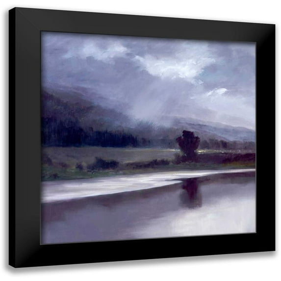 Finch, Sheila 12x12 Black Modern Framed Museum Art Print Titled - Passin Light