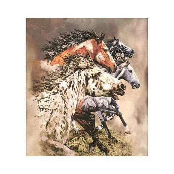 Find 13 Horses Plush Rachel Mink Queen Blanket Signature Collection