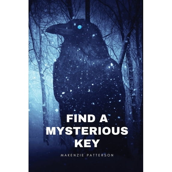 Find a mysterious key, (Paperback)