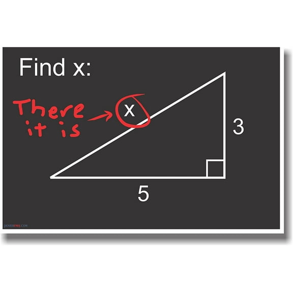 Find x - There It Is! - NEW Funny Humor Math Algebra Joke POSTER