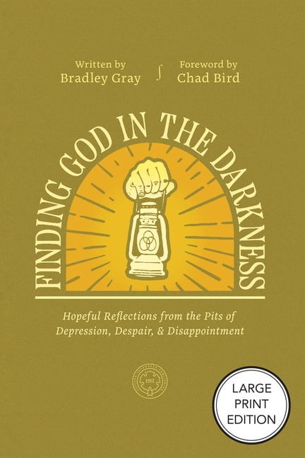 Finding God in the Darkness: Hopeful Reflections from the Pit of Depression, Despair, and Disappointment, (Paperback)