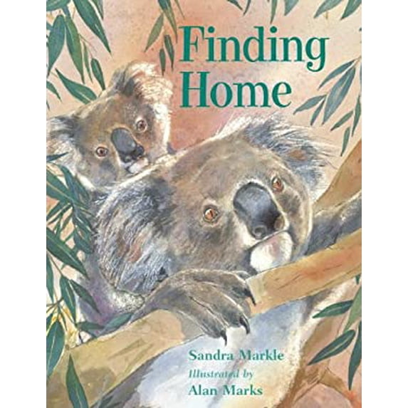 Pre-Owned Finding Home (Hardcover) 1580891225 9781580891226