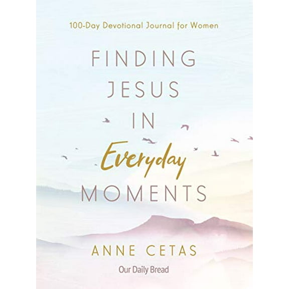 Pre-Owned Finding Jesus in Everyday Moments: 100-Day Devotional Journal for Women (Paperback) 1640700854 9781640700857