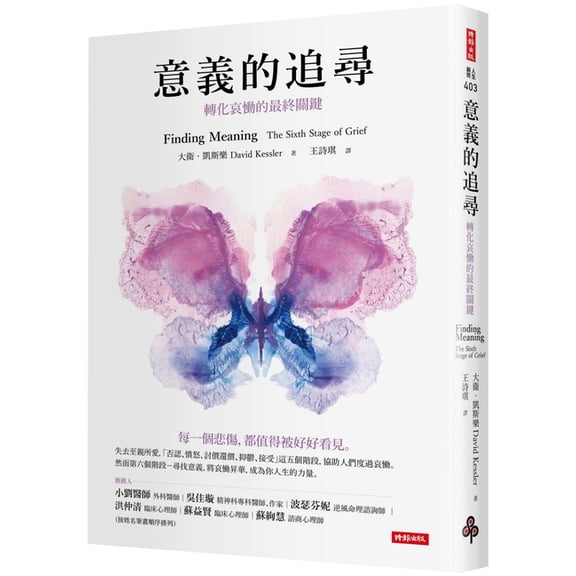 Finding Meaning (Paperback)