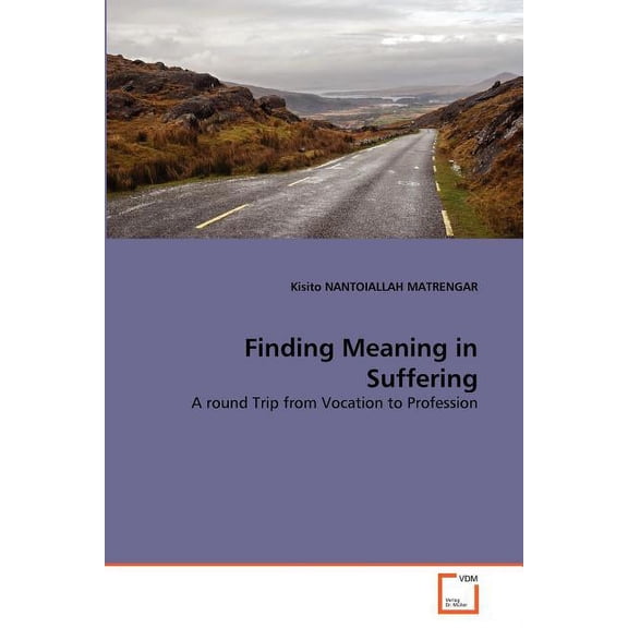 Finding Meaning in Suffering (Paperback)