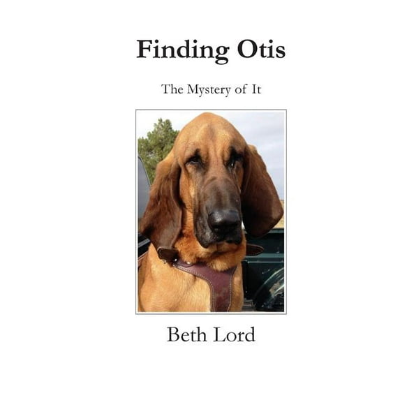 Finding Otis: The Mystery of It Paperback 1622690044 9781622690046 Beth Bruckner Lord