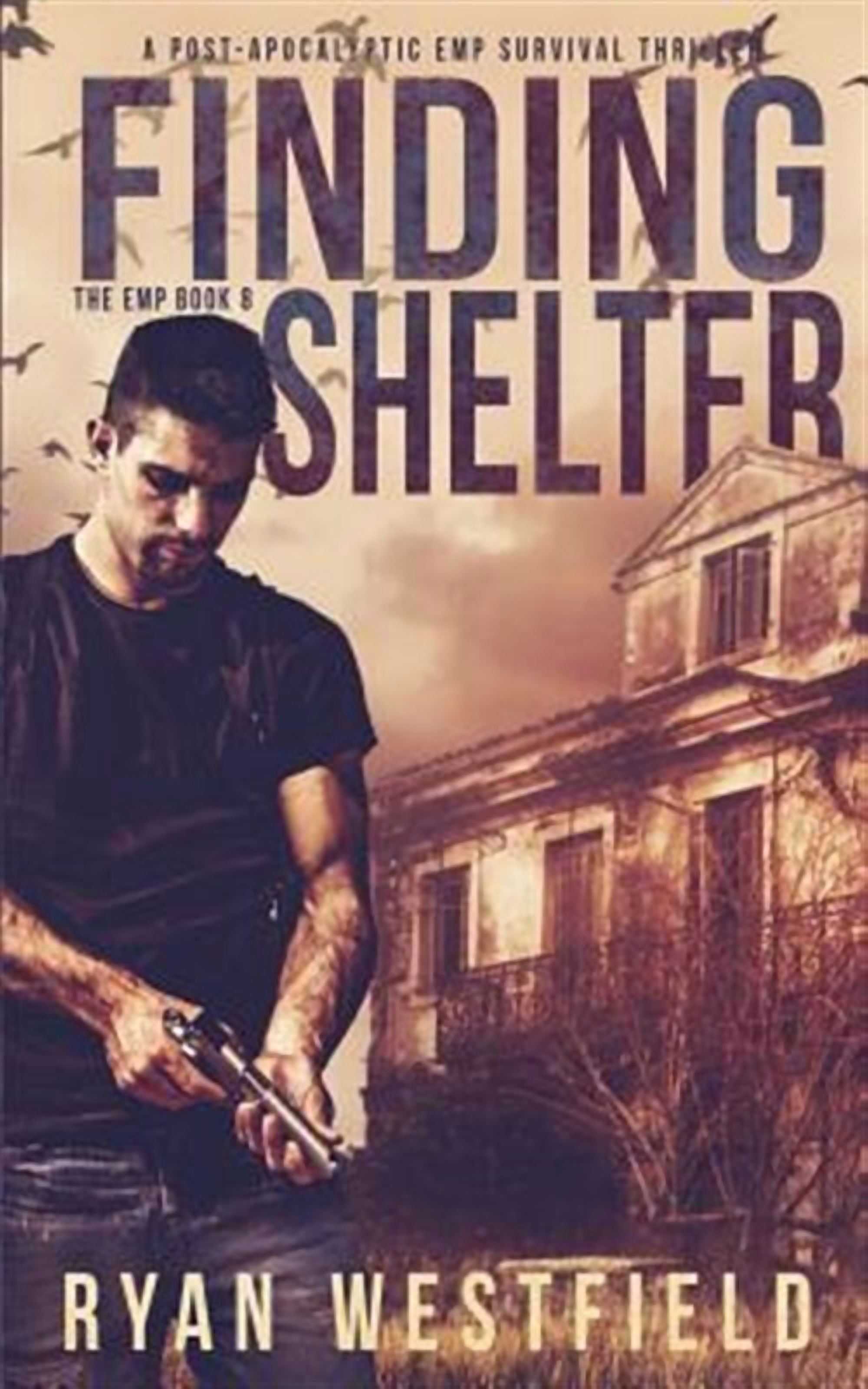 Emp: Finding Shelter: A Post-Apocalyptic EMP Survival Thriller ...