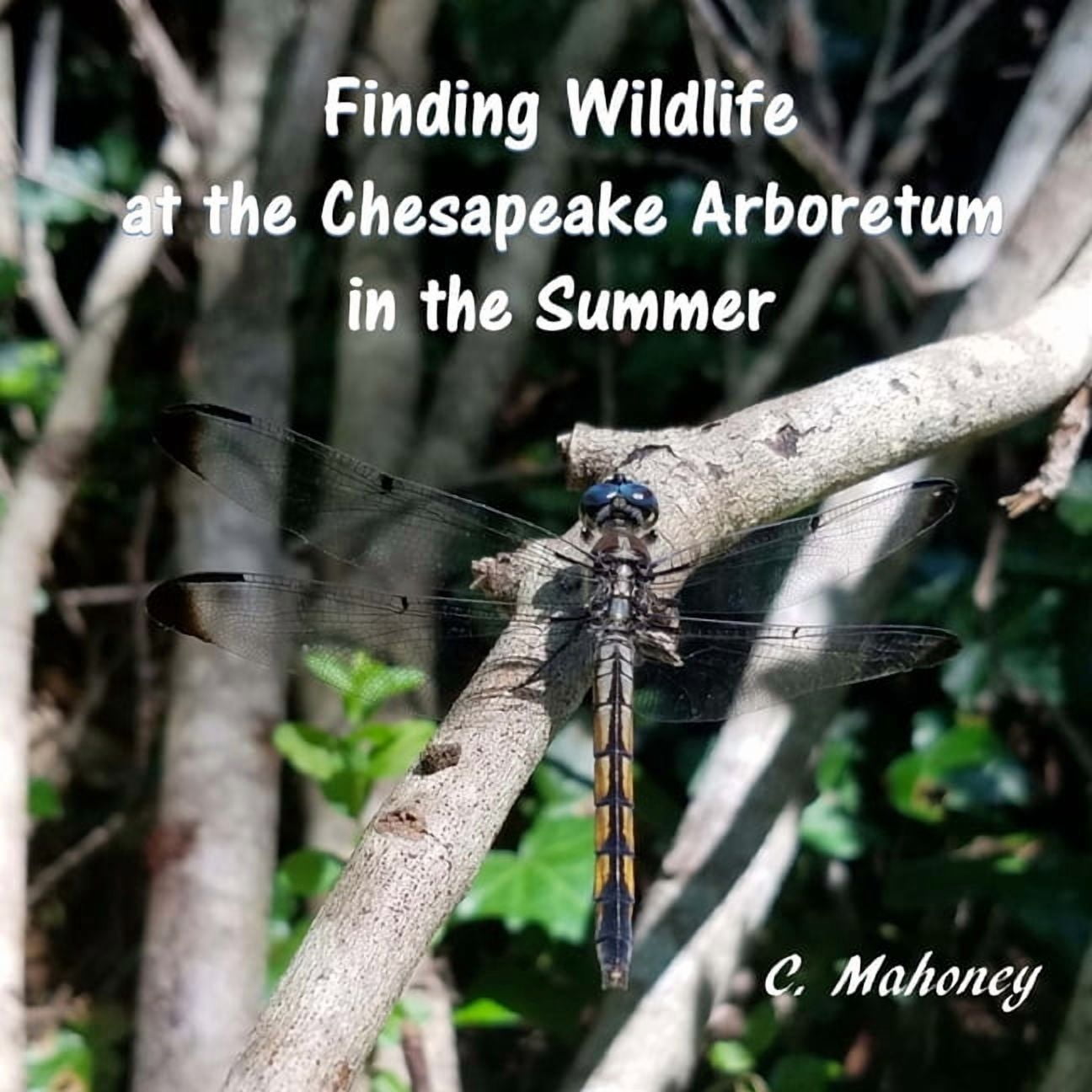 Finding Wildlife at the Chesapeake Arboretum in the Summer, (Paperback)