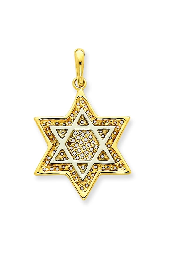 14K Two Tone Gold Star of David Charm Pendant