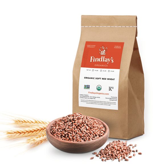 Findlay's Organics Soft Red Wheat Berries, USDA Organic Certified, Non-GMO, 10 Lbs