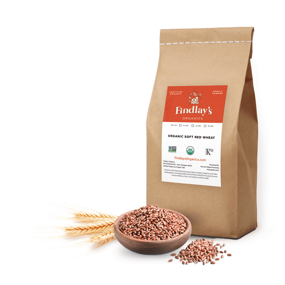 Findlay's Organics Soft Red Wheat Berries, USDA Organic Certified, Non-GMO, 25 Lbs.