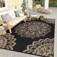 thumbnail image 1 of Findosom 5'x8' Outdoor Rug Large Patios Rug RV Outdoor Rug Waterproof Foldable Portable Camping Rugs Reversible Plastic Straw Rug Outdoor Area Rug for Camping, RV, Balcony, Patio, Picnic, Beach Black, 1 of 7