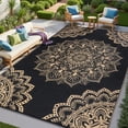 thumbnail image 1 of Findosom 9'x12' Outdoor Rug Large Patios Rug RV Outdoor Rug Waterproof Foldable Portable Camping Rugs Reversible Plastic Straw Rug Outdoor Area Rug for Camping,RV,Balcony,Patio,Picnic,Beach Black, 1 of 9
