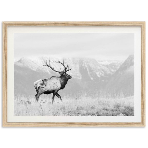 Fine Art American Elk Print - Black And White Landscape Nature Wildlife Mountain Fine Art Photography Home Wall Decor Wall Art, Modern Wall Decor, 16x24 UNFRAMED