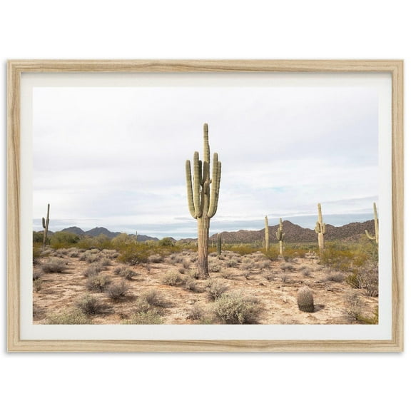 Fine Art Arizona Desert Print - Southwestern Landscape Wall Art Fine Art Photography Home Decor Wall Art, Modern Wall Decor, 12x18 UNFRAMED