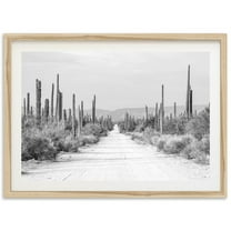 Fine Art Baja Desert Print - Black And White Southwest Cactus Road Landscape Fine Art Photography Home Wall Decor Wall Art, Modern Wall Decor, 8x12 UNFRAMED