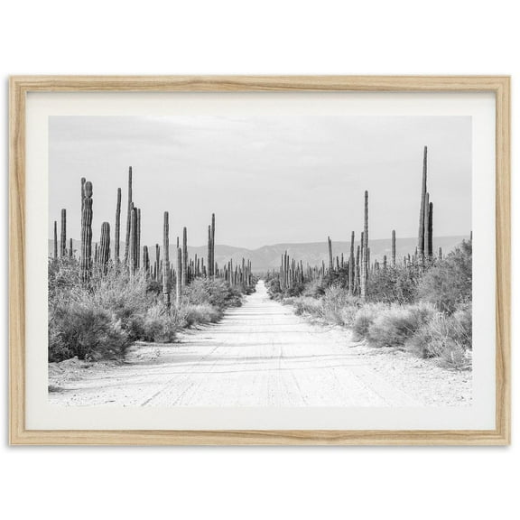 Fine Art Baja Desert Print - Black And White Southwest Cactus Road Landscape Fine Art Photography Home Wall Decor Wall Art, Modern Wall Decor, 8x12 UNFRAMED