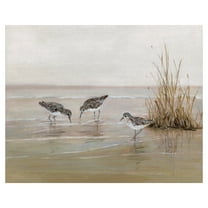 Fine Art Canvas Early Risers II Sandpiper Beach Birds by Sally Swatland Canvas Art Print