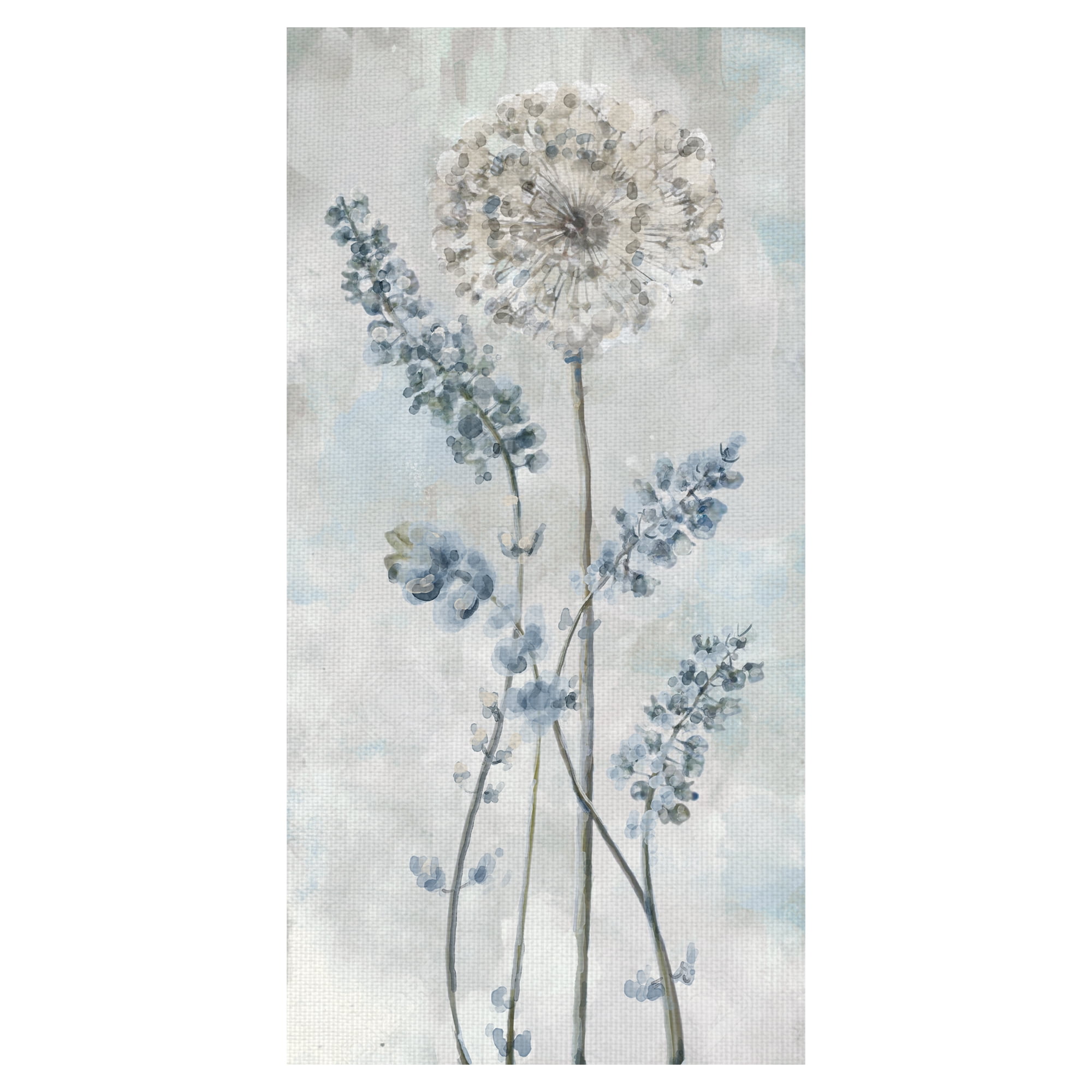 Fine Art Canvas Garden Heights II Dandelions by Studio Arts Canvas Art Print