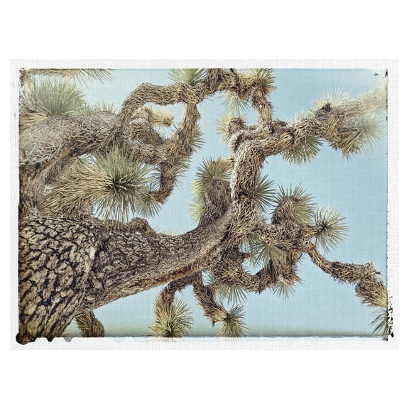 Fine Art Canvas Joshua Tree 2 by The Studio Canvas Art Print